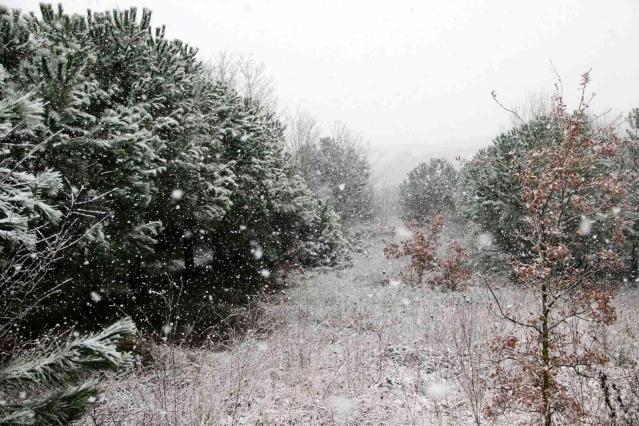 İstanbul’un yanı başı Gebze beyaza büründü