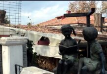 Yalova’da Garip İşler Dönüyor: Yürüyen Köşk’ün Gölgesinde Susan Ağaçlar